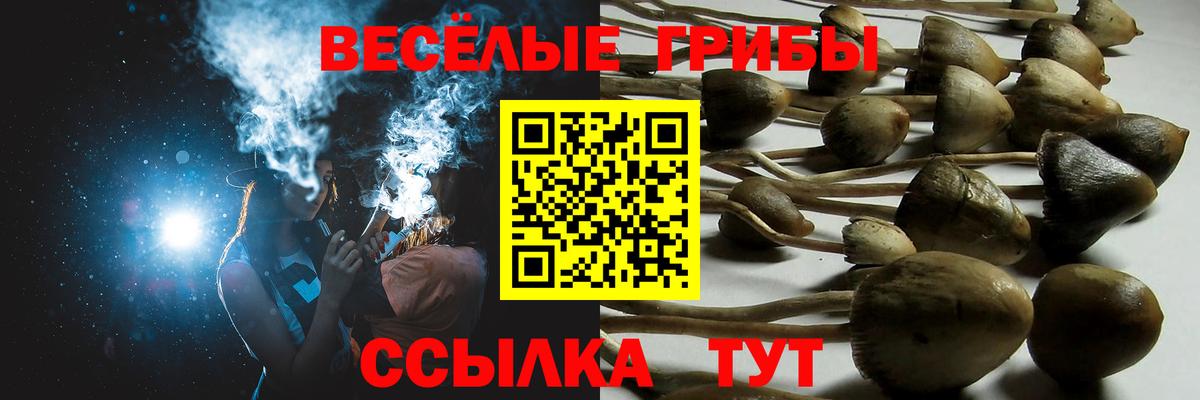 где продают   Вход с VPN  Галлюциногенные грибы прущие грибы  Заинск  Псилоцибиновые грибы Psilocybine cubensis 